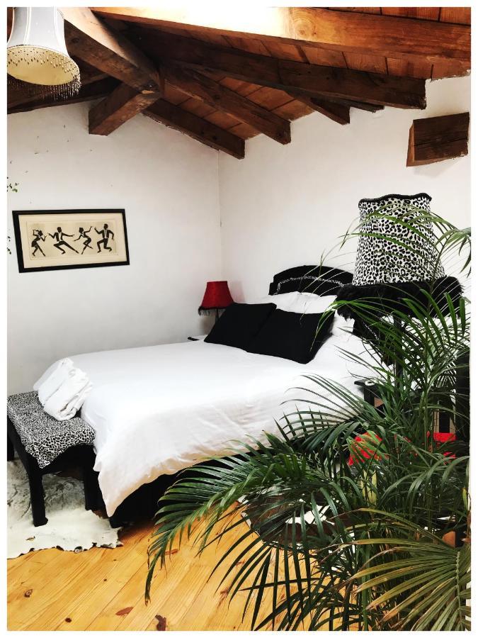 Casa Kitsch Hotel Zacatlán Buitenkant foto